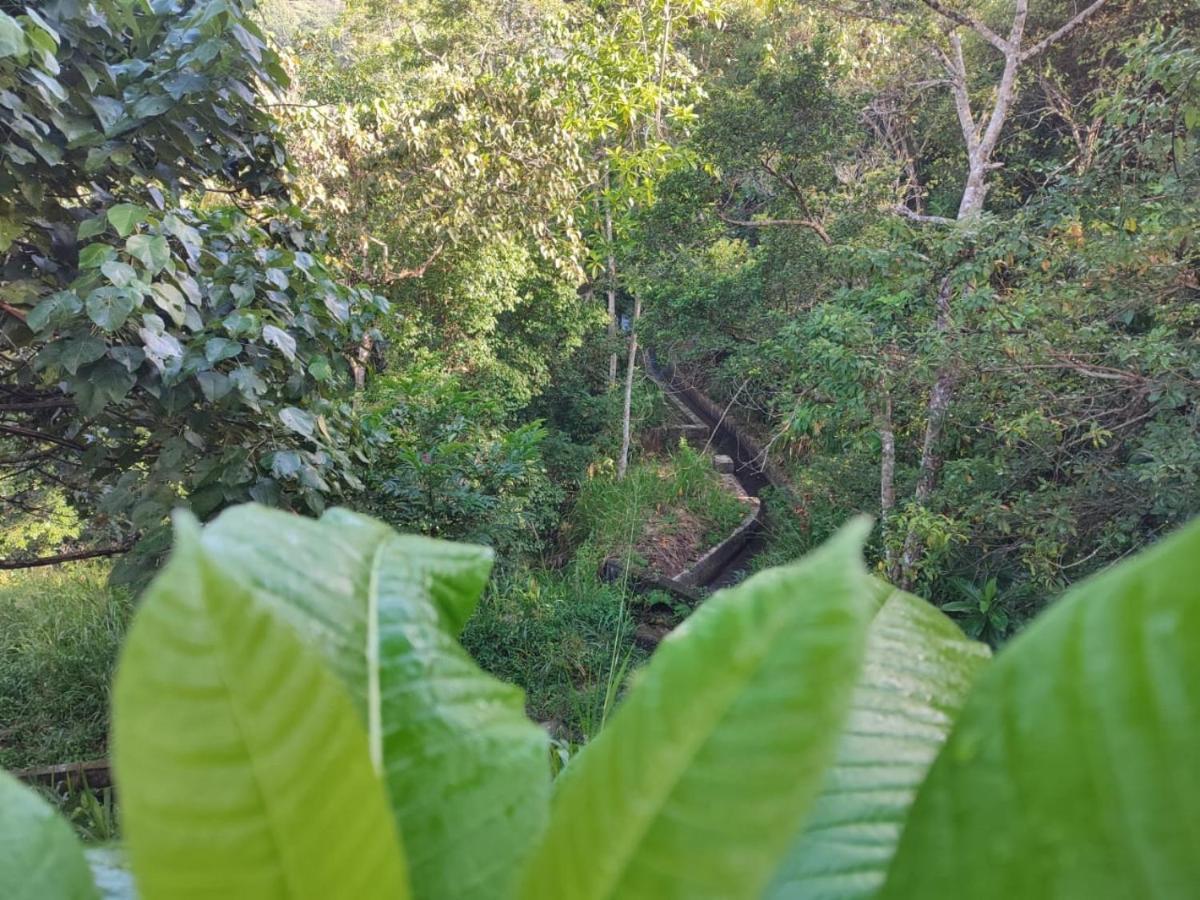 Little Wood Villa And Retreats Doluwa Kandy Eksteriør bilde